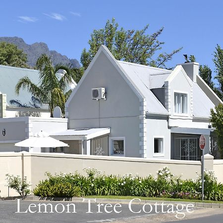 Lemon Tree Cottage Self Catering Franschhoek Eksteriør billede
