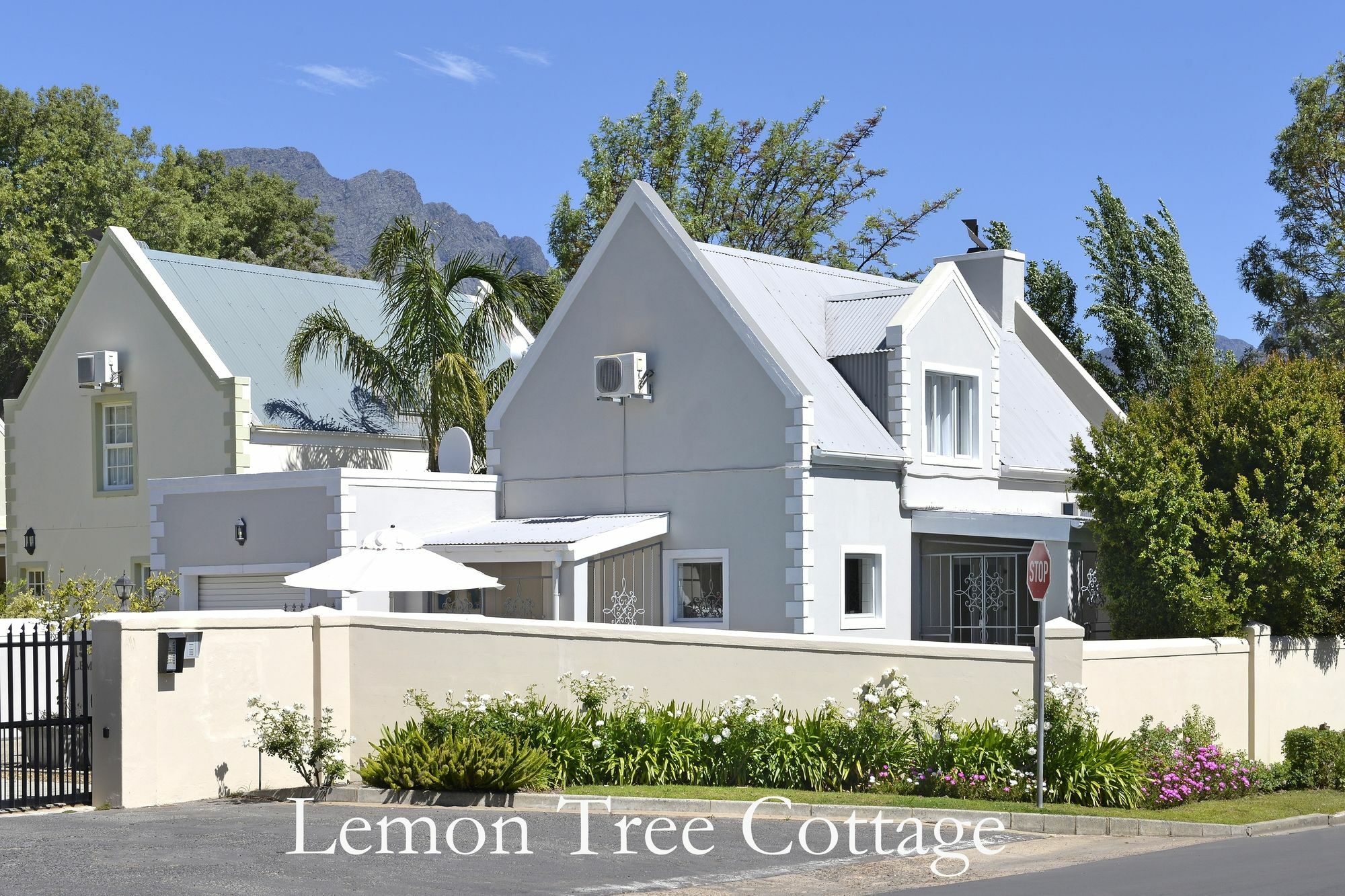 Lemon Tree Cottage Self Catering Franschhoek Eksteriør billede